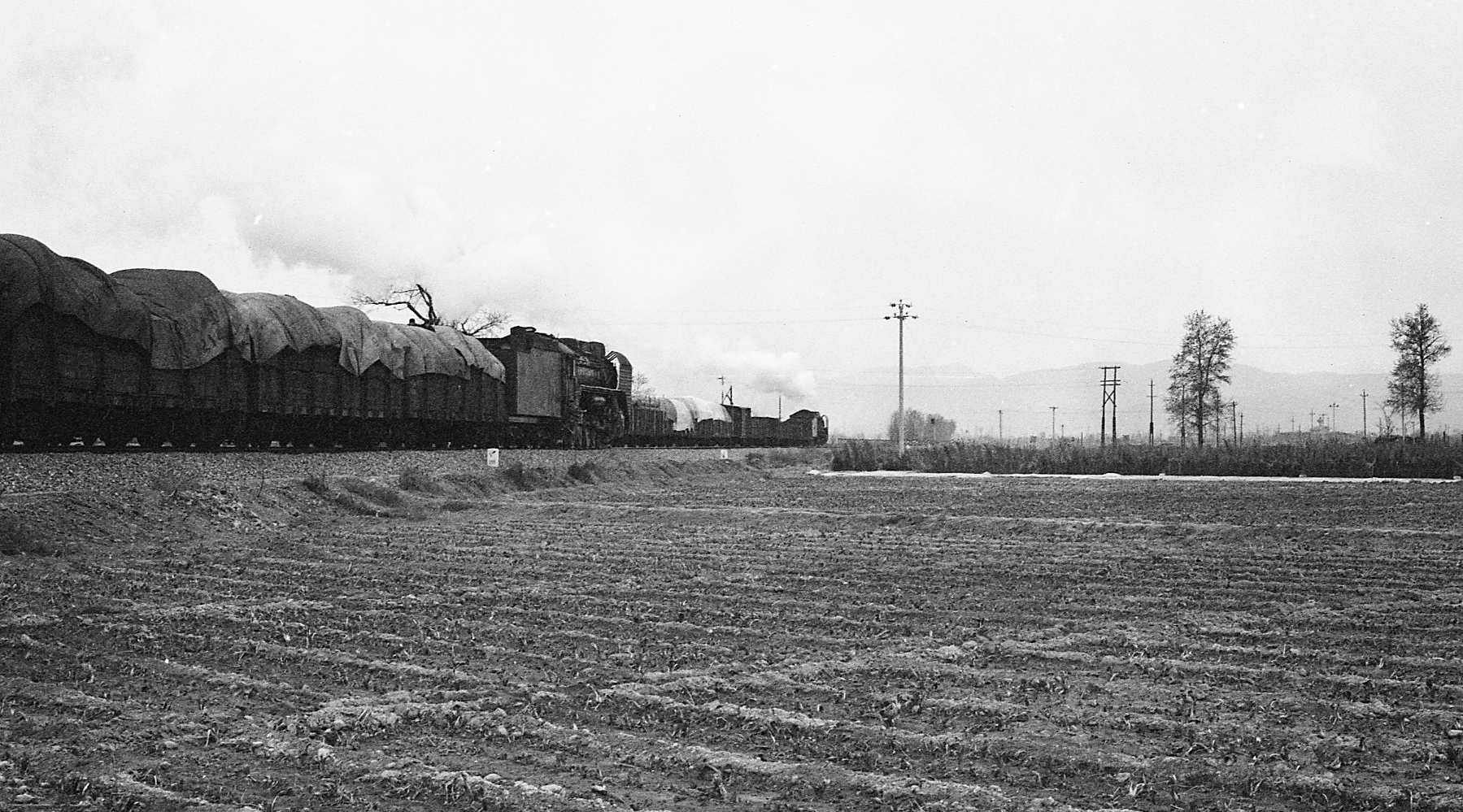 21-qj-2325-qj-21881-jpg